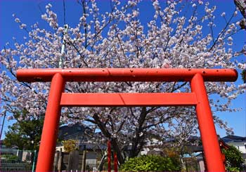 本町の神社で