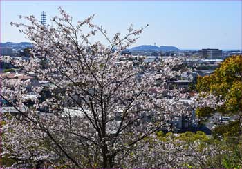 江の島展望