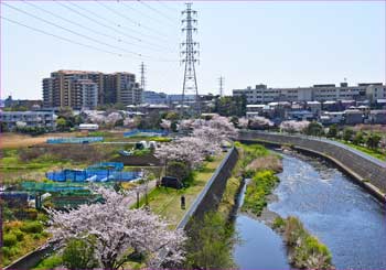 引地川