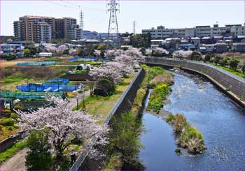 引地川