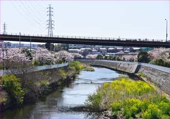 引地川