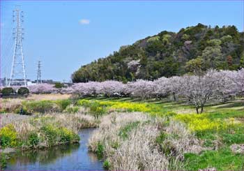 春の小川