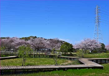 親水公園