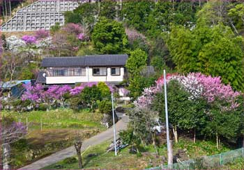 花の里