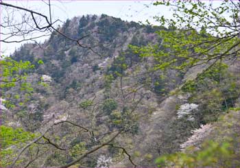 仏果山