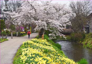 新名庄川