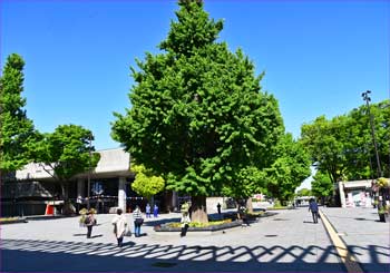 上野駅前