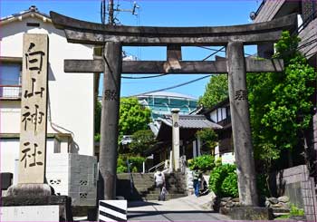 白山神社鳥居