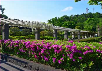 新林公園