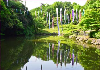 池に鯉のぼり