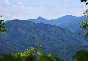 山波が