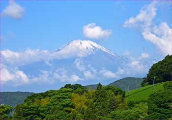 富士山