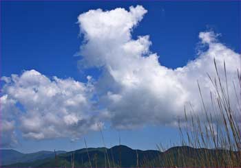 雲湧く