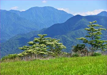 大室山