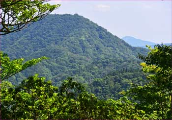 権現山