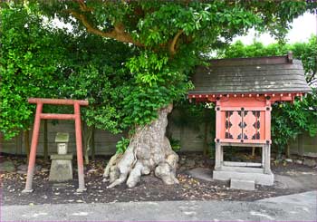 境内の祠