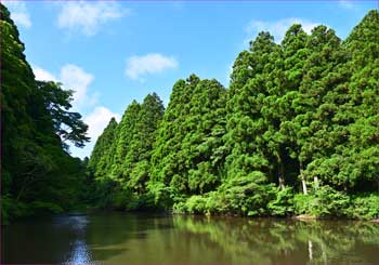 芦ノ湖入江