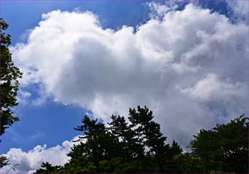 雲湧く