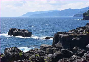 カモメ島