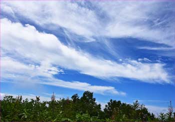 雲白く