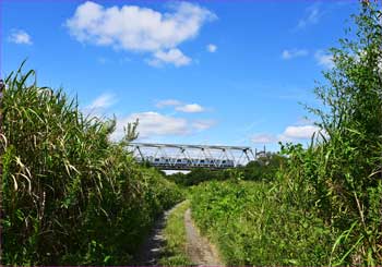 河川敷を