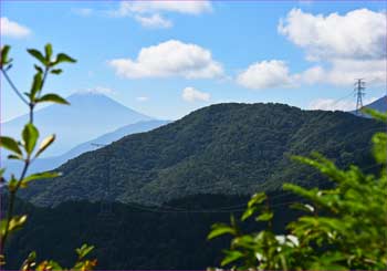 富士山展望