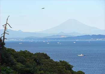 江ノ島から富士山