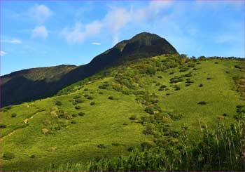 金時山