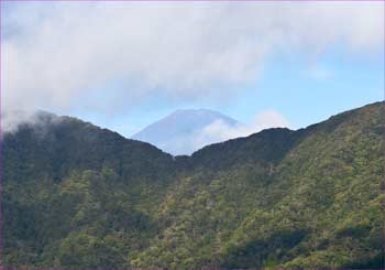 富士も雲に