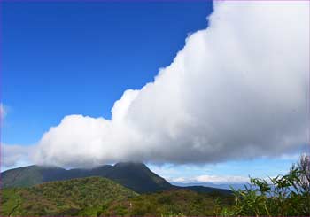 大雲