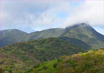 雲取れて