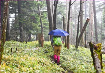 雨の中