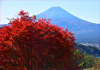 富士山