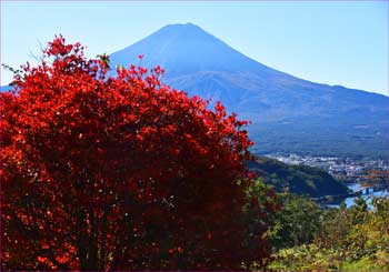 紅葉と富士