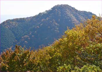 仏果山