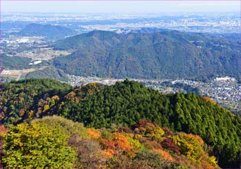 東京展望