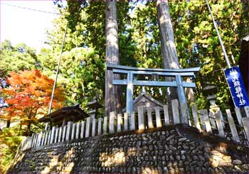 九頭竜神社