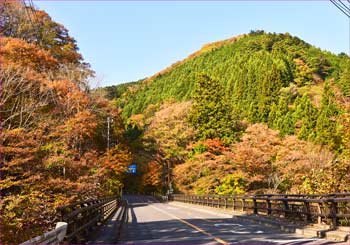 周遊道路