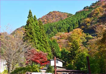 紅葉の山