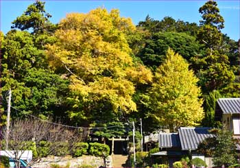 十二所神社