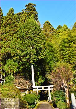 柳島八幡神社