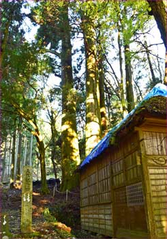 柳島神社