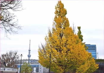 上野駅前