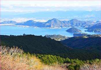 奥駿河湾