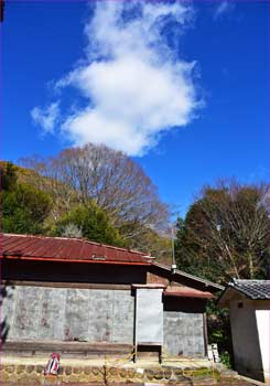 雲が立った