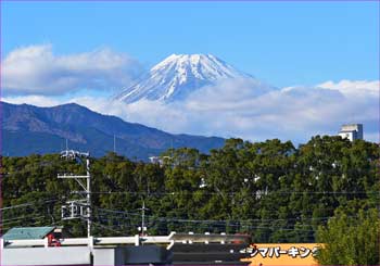 ホームから富士を