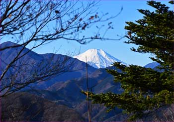 富士山見ゆ