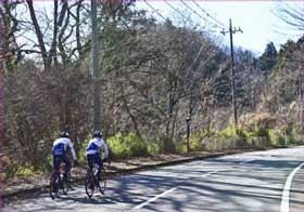 自転車野郎