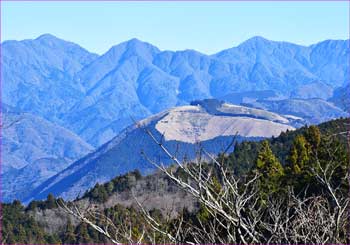 大野山