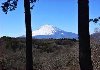 富士山